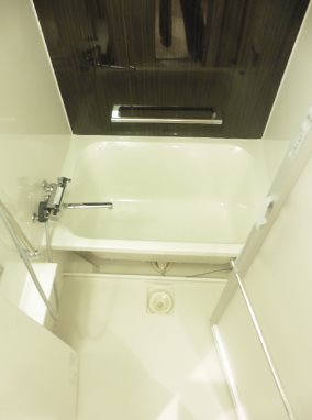 港区西新橋3丁目楽器可（ピアノ）マンション 風呂画像