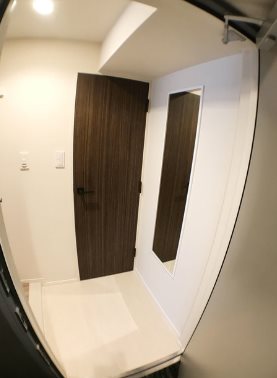 港区西新橋3丁目楽器可（ピアノ）マンション 玄関