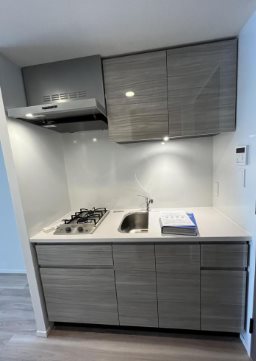豊島区南大塚2丁目楽器可（ピアノ）マンション キッチン