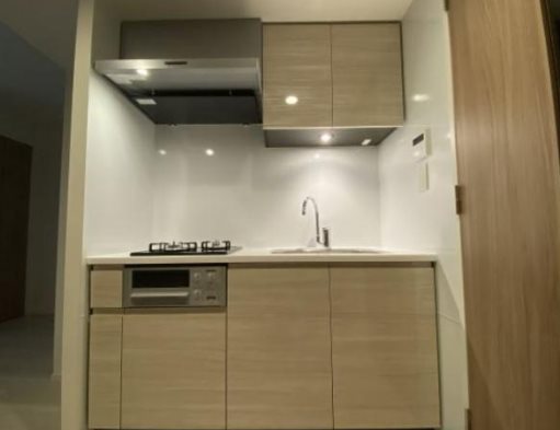 豊島区南大塚2丁目楽器可（ピアノ）マンション キッチン