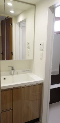 大田区仲池上2丁目楽器可（ピアノ）マンション 洗面所