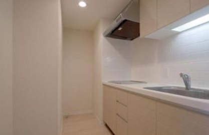 江東区豊洲1丁目楽器可（ピアノ）マンション キッチン