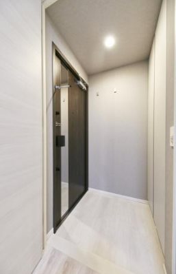 中央区湊1丁目楽器可（ピアノ）マンション 玄関