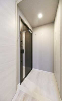 中央区湊1丁目楽器可（ピアノ）マンション 玄関