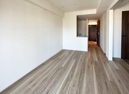 墨田区錦糸4丁目楽器可（ピアノ）マンション リビング