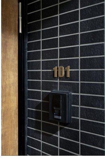 板橋区蓮根3丁目（弦楽器・管楽器・声楽・ピアノ）築浅楽器ペット可デザイナーズマンション 玄関