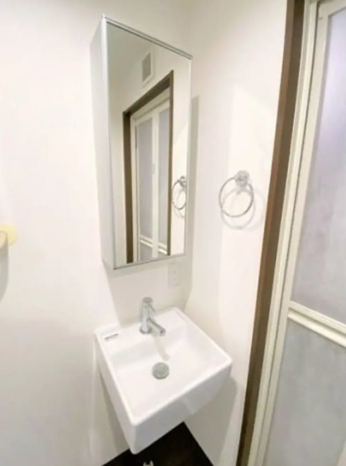 台東区池之端4丁目楽器可(防音・24時間演奏・グランドピアノ・弦・管・打楽器・声楽・DTM)マンション 洗面所