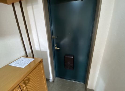 練馬区豊玉南2丁目楽器可（アップライトピアノ・ギター・フルート）マンション 玄関