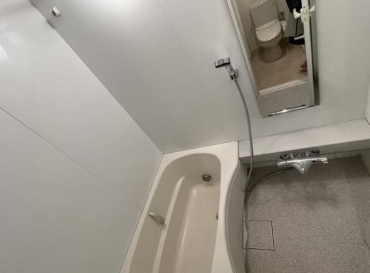 横浜市中区日本大通楽器可（ピアノ・ヴァイオリン・フルート）マンション 風呂画像