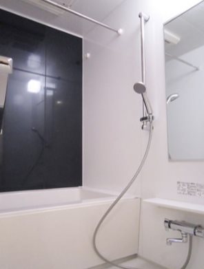 港区白金台2丁目楽器可（ピアノ）マンション 風呂画像