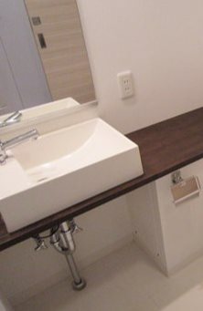 港区白金台2丁目楽器可（ピアノ）マンション 洗面所