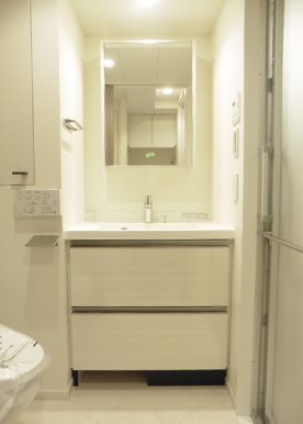 港区西新橋3丁目楽器可（ピアノ）マンション 洗面所