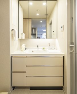 千代田区三番町楽器可（ピアノ）マンション 洗面所