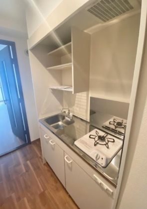 豊島区南大塚3丁目楽器可(グランドピアノ・弦・管楽器・声楽)マンション キッチン