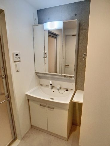 川崎市中原区下小田中1丁目楽器可(防音・ピアノ・弦・木楽器・声楽マイクなし)マンション 洗面所