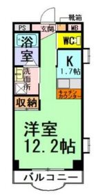 練馬区練馬2丁目楽器可（グランドピアノ・弦管楽器・声楽）マンション 間取り