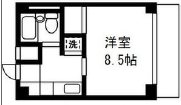 川越市南通町楽器可(グランドピアノ・弦管打楽器・声楽)女性限定マンション 間取り