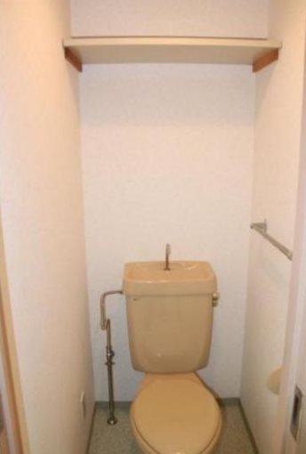 ふじみ野市駒西3丁目楽器可(防音・グランドピアノ・弦・管楽器)マンション トイレ