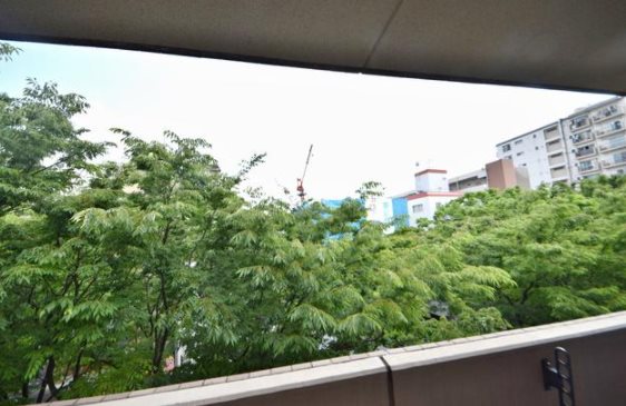 杉並区上高井戸１丁目楽器可(グランドピアノ・管・弦楽器・声楽)マンション ベランダ