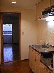 川崎市高津区溝口3丁目楽器可(ピアノ・弦管楽器・声楽)マンション キッチン