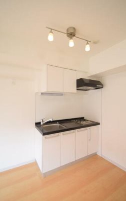 豊島区巣鴨１丁目楽器可（地下共用防音室・ピアノ・弦管楽器・声楽）マンション キッチン