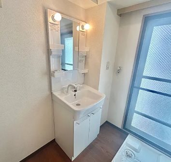 府中市府中町2丁目楽器可(防音・24時間演奏・グランドピアノ・弦・管楽器・声楽)女性限定マンション 洗面所