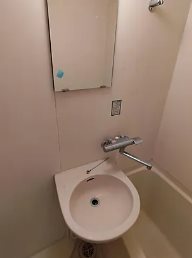 所沢市小手指南1丁目楽器可(防音・ピアノ・弦管楽器・声楽)マンション 洗面所