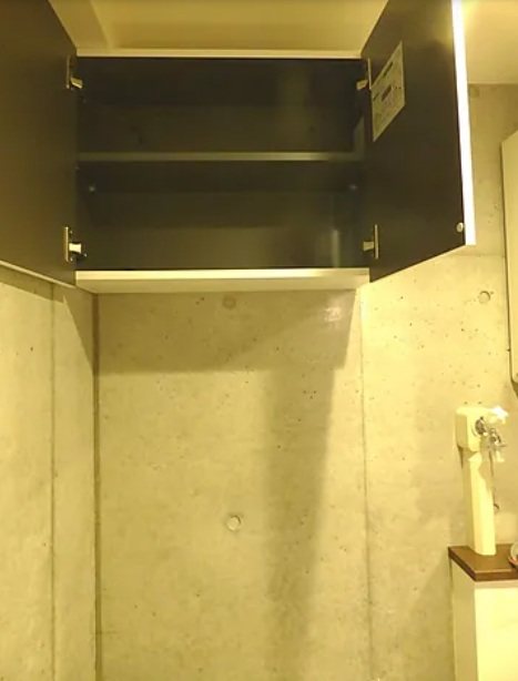 川口市本町3丁目楽器可（防音・24時間演奏・グランドピアノ・弦管楽器・声楽・DTM）築浅マンション 収納
