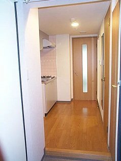 台東区松が谷4丁目楽器可(ピアノ・弦管楽器・声楽)マンション 玄関