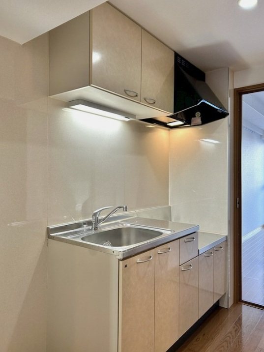 台東区北上野1丁目楽器可（グランドピアノ・弦/管楽器・声楽）マンション キッチン