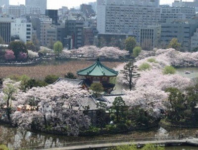 台東区下谷2丁目楽器可(防音・ピアノ・弦・木管楽器・声楽)アパート その他