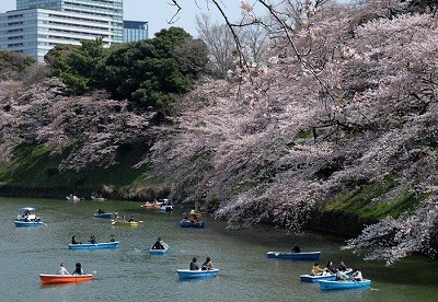 台東区下谷2丁目楽器可(防音・ピアノ・弦・木管楽器・声楽)アパート その他