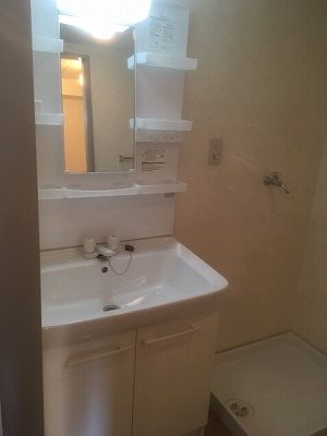 朝霞市溝沼3丁目楽器可(グランドピアノ・弦・管・打楽器・声楽)マンション 洗面所