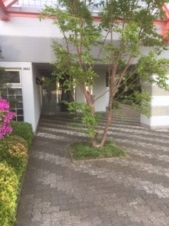 朝霞市溝沼3丁目楽器可(グランドピアノ・弦・管・打楽器・声楽)マンション 庭