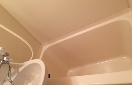 清瀬市元町1丁目楽器可（グランドピアノ・管弦楽器・声楽）女性限定マンション 風呂画像