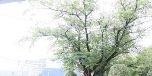 所沢市くすのき台１丁目楽器可(防音・グランドピアノ・弦管楽器・声楽)マンション 眺望