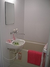 豊島区東池袋5丁目楽器可(グランドピアノ・弦・管楽器・声楽)マンション 風呂画像