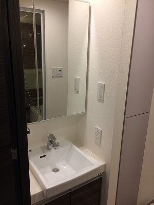 板橋区小茂根4丁目楽器可(防音・グランドピアノ・弦・管楽器・声楽)マンション 洗面所