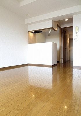 板橋区小茂根1丁目楽器可(ピアノ・声楽・管楽器・弦楽器)マンション リビング