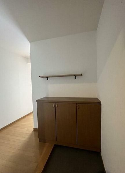 大田区南雪谷1丁目楽器可（グランドピアノ）マンション 玄関