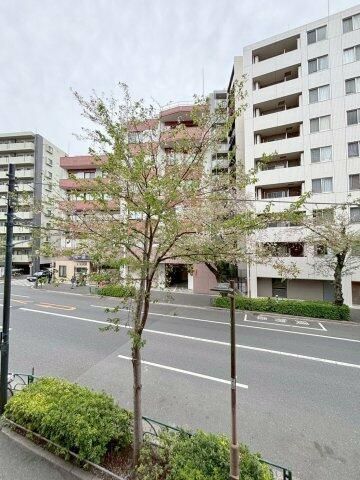 中野区新井2丁目楽器可(防音・24時間演奏可能・グランドピアノ・弦・管楽器・声楽)マンション 眺望