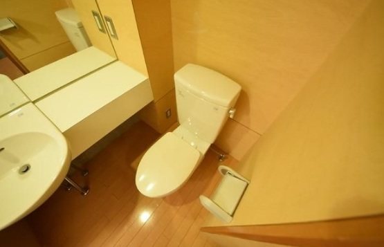 杉並区上高井戸1丁目楽器可（グランドピアノ・管弦楽器・声楽）マンション トイレ