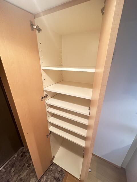 川崎市多摩区登戸楽器可（ピアノ・管弦楽器）マンション 収納
