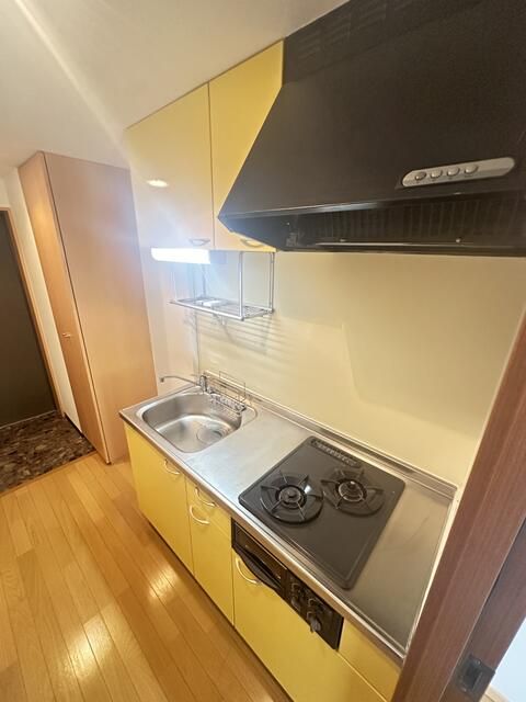 川崎市多摩区登戸楽器可（ピアノ・管弦楽器）マンション キッチン