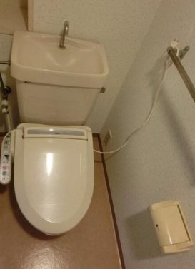 市川市新田2丁目楽器可(ピアノ・弦楽器・・木管楽器・声楽)マンション トイレ