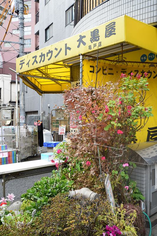 ヴォーガコルテ亀戸駅前 スーパー