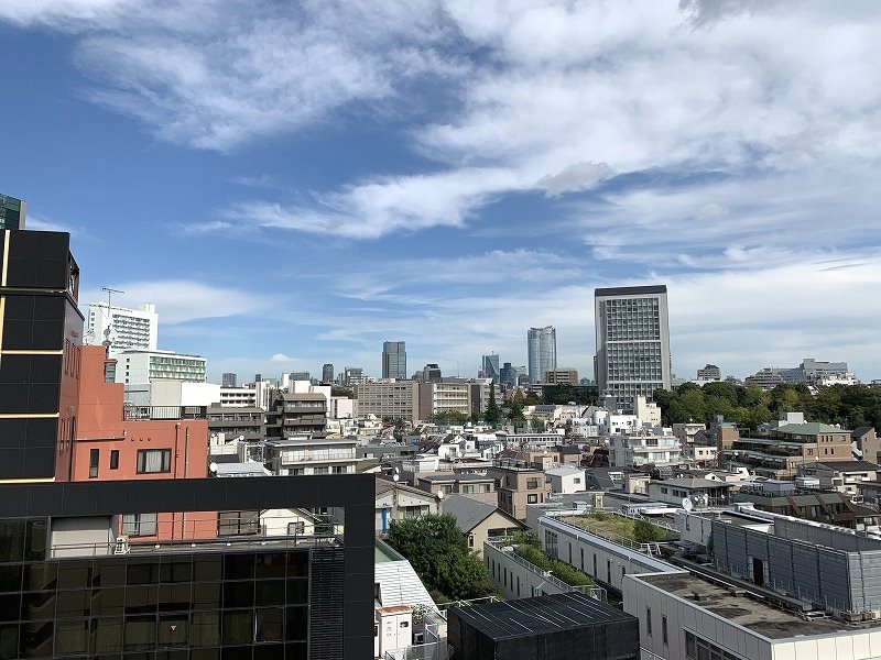 東京都渋谷区東１丁目 眺望