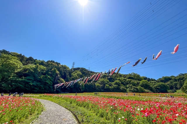 アスク久里浜 公園
