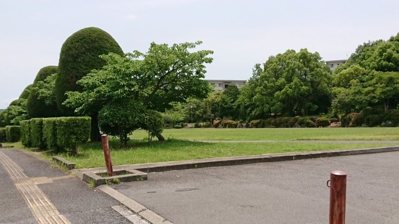 公園前駐車場 周辺画像5