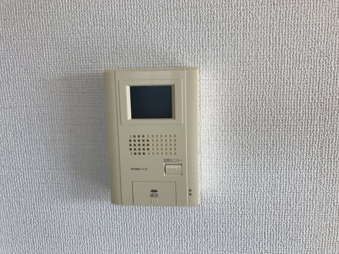 レセンテベルタ その他4